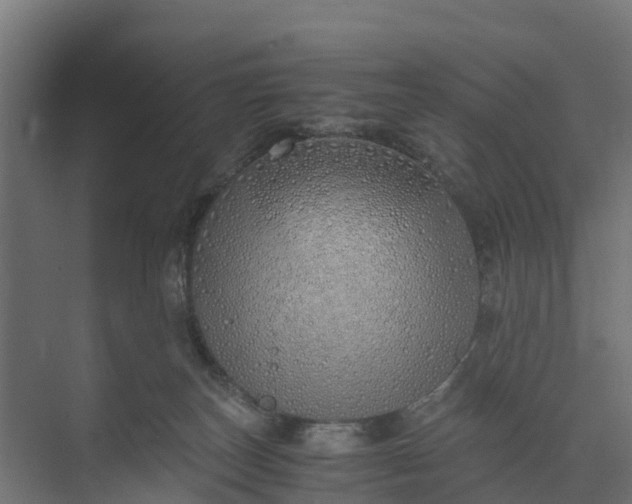 X0000073840179200608171016