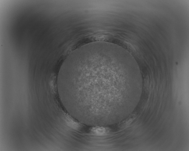 X0000073840181200608171016