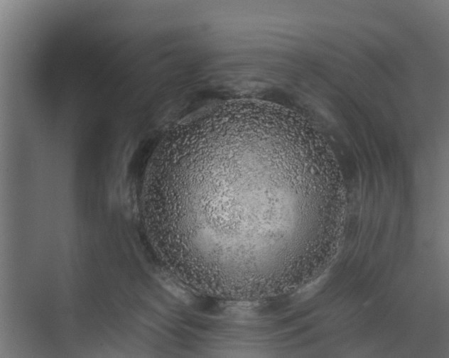 X0000073840182200608171016