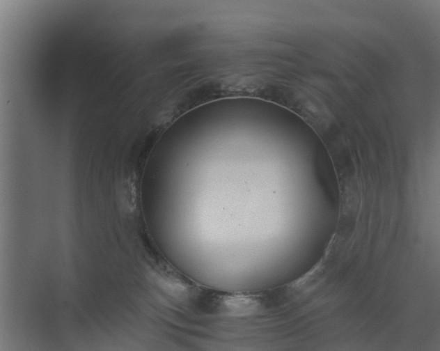 X0000073840183200608171016