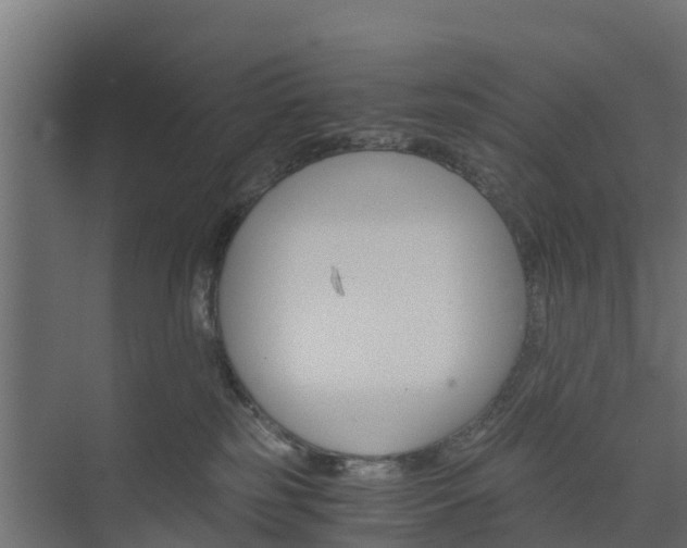 X0000073840185200608171016