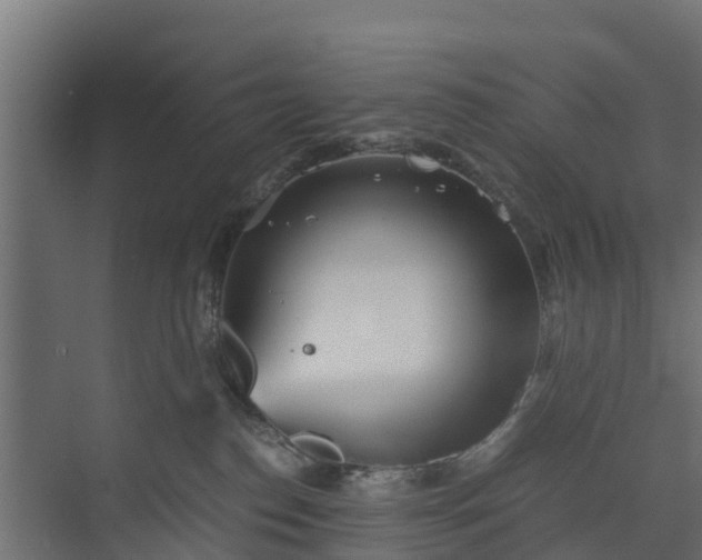 X0000073840186200608171016