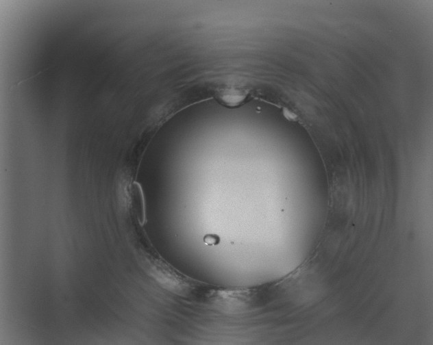 X0000073840188200608171016