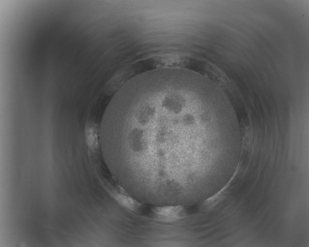 X0000073840191200608171016