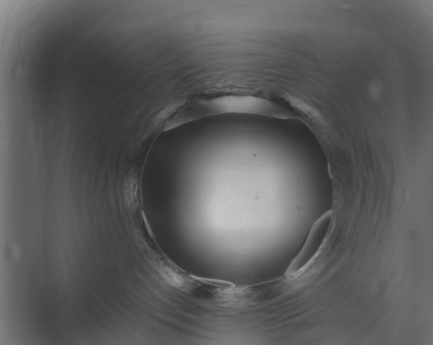 X0000073840192200608171016