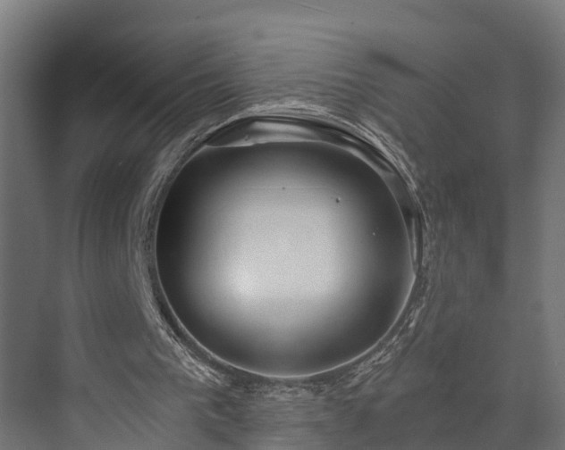 X0000073840193200608171016