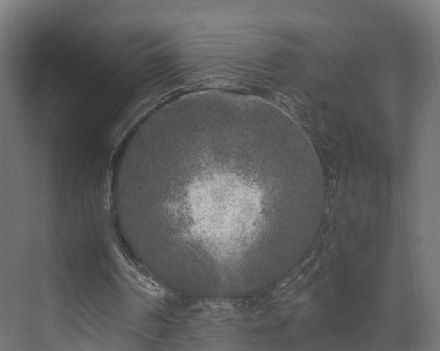 X0000073840194200608171016