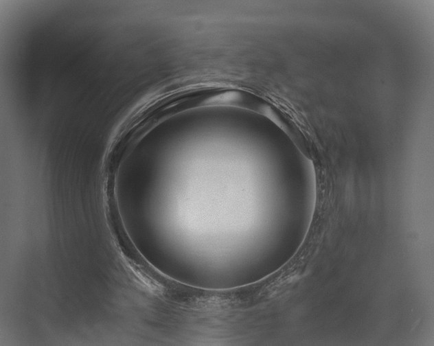 X0000073840197200608171015