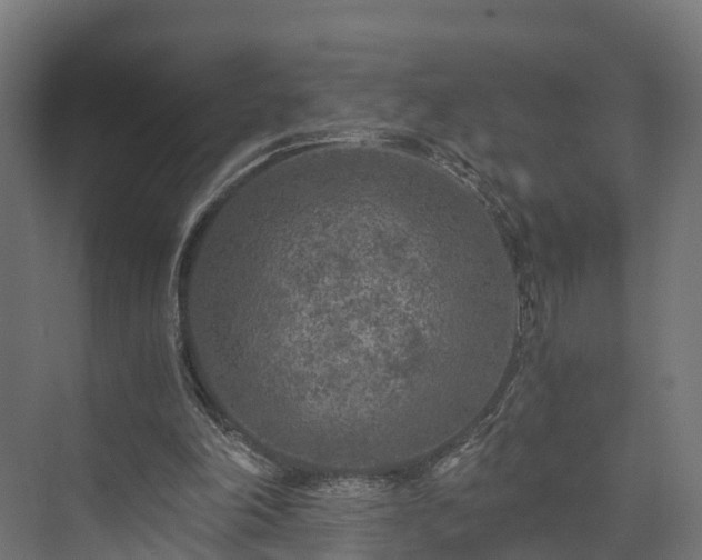 X0000073840198200608171015