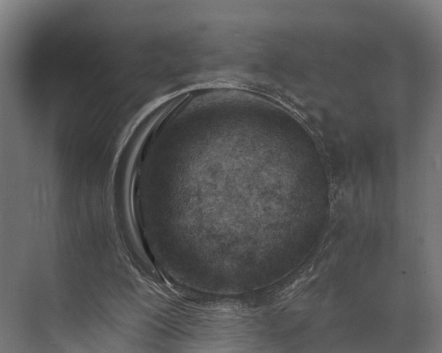 X0000073840200200608171015