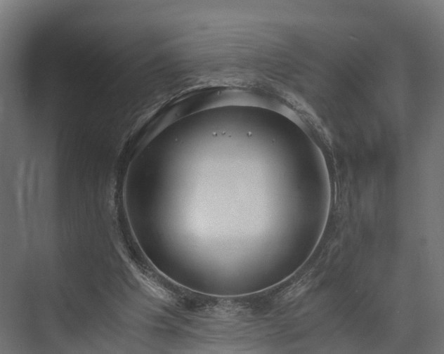 X0000073840201200608171015