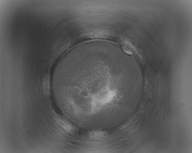 X0000073840202200608171015