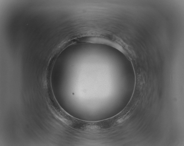 X0000073840203200608171015