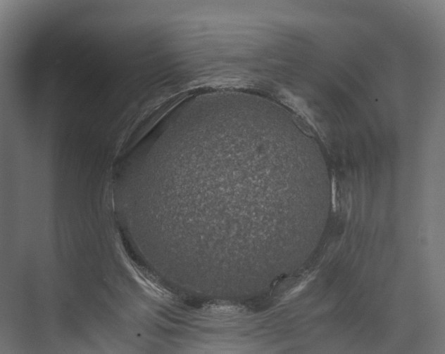 X0000073840205200608171015