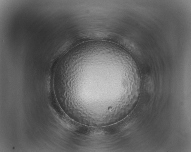 X0000073840206200608171015