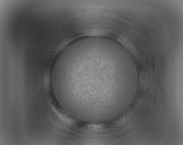 X0000073840208200608171015