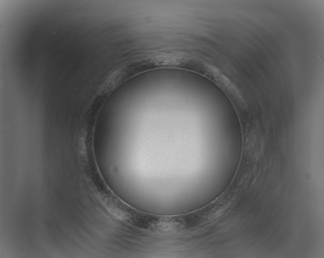 X0000073840209200608171015