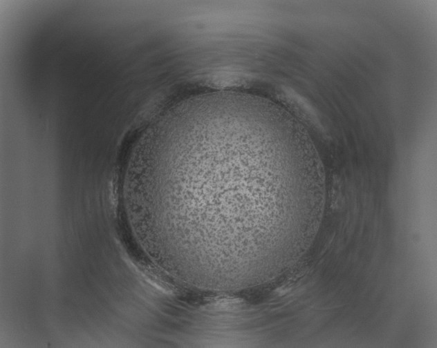 X0000073840210200608171015