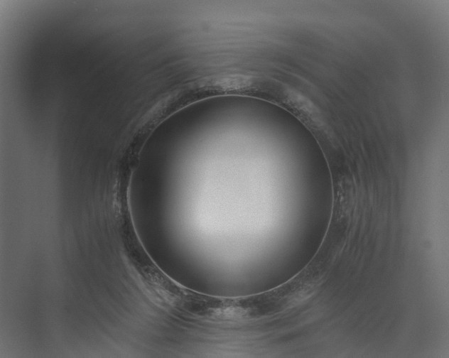 X0000073840212200608171015