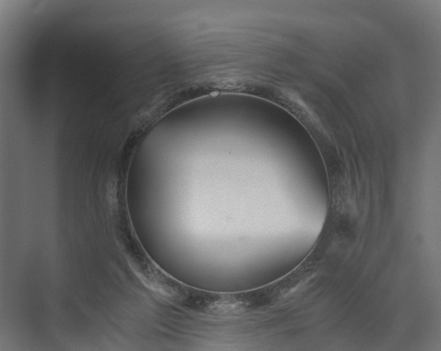 X0000073840213200608171015