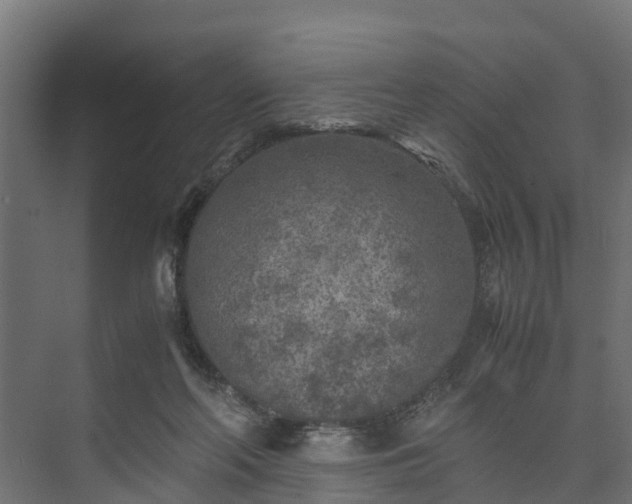 X0000073840214200608171015