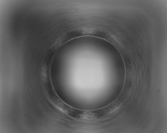 X0000073840215200608171015