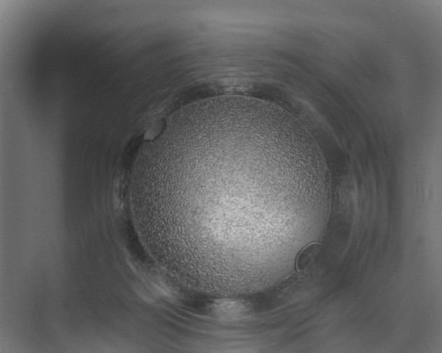 X0000073840218200608171015