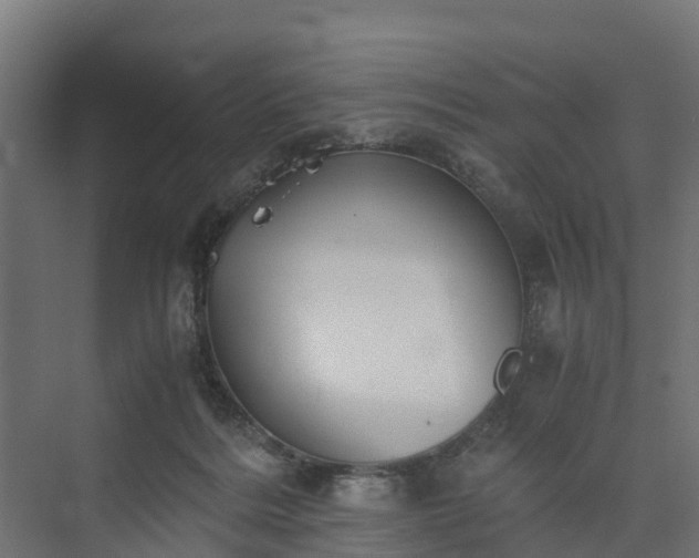 X0000073840220200608171015