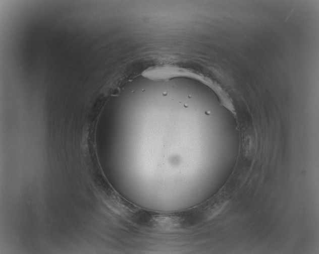 X0000073840221200608171015