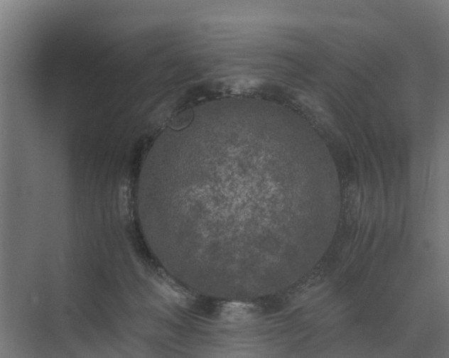 X0000073840222200608171015