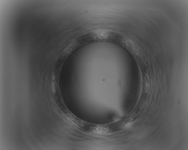 X0000073840223200608171015