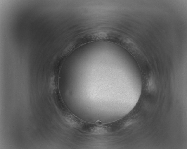 X0000073840224200608171015