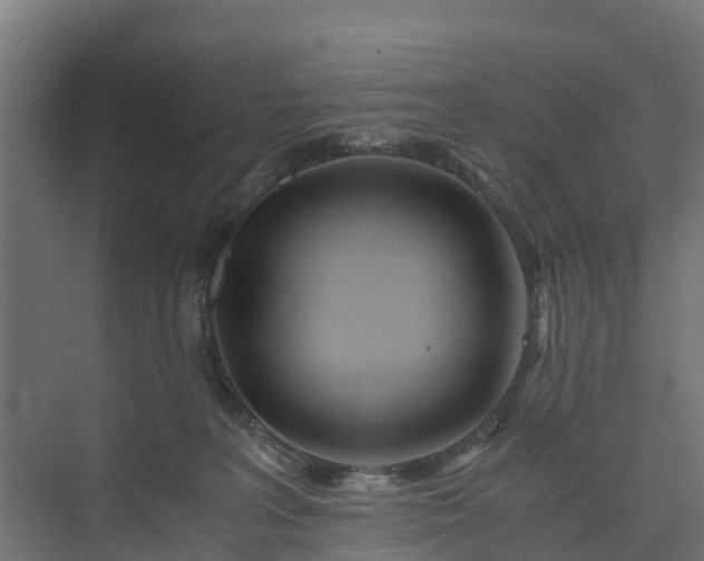 X0000073840227200608171015