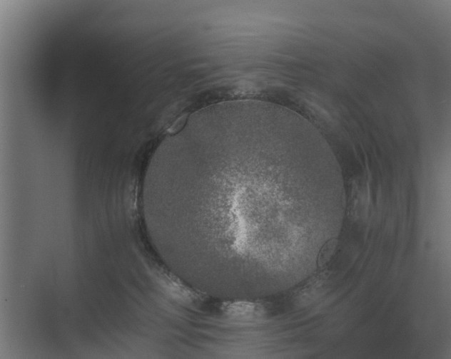 X0000073840230200608171015