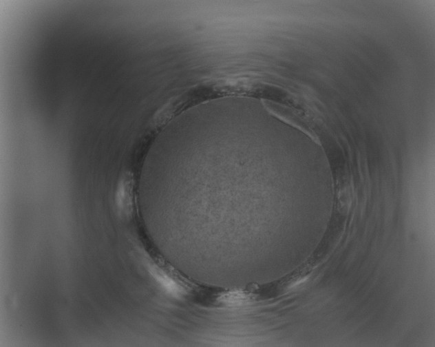 X0000073840231200608171015