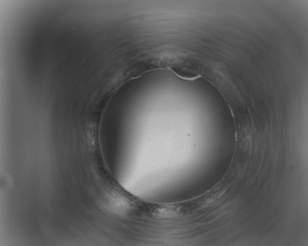 X0000073840232200608171015