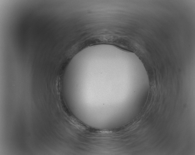 X0000073840233200608171015