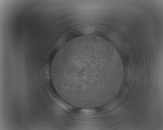 X0000073840234200608171015