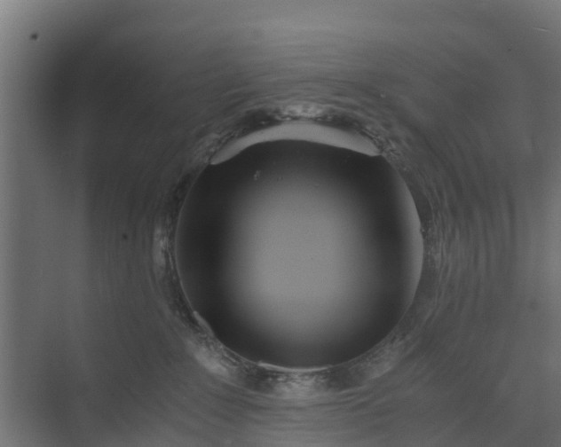 X0000073840235200608171015