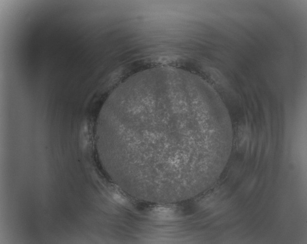 X0000073840236200608171015