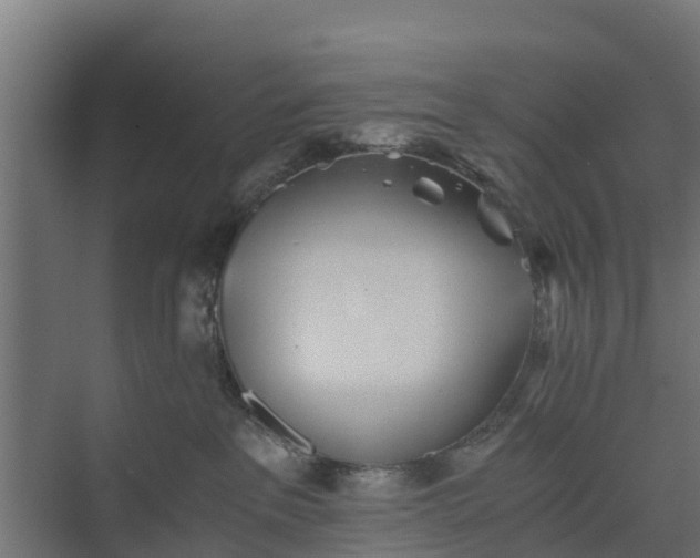 X0000073840237200608171015