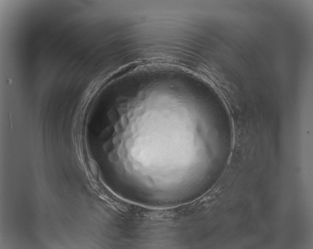 X0000073840241200608171014