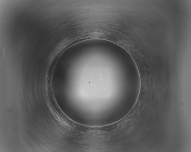 X0000073840242200608171014