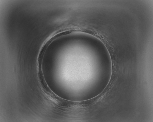 X0000073840246200608171014