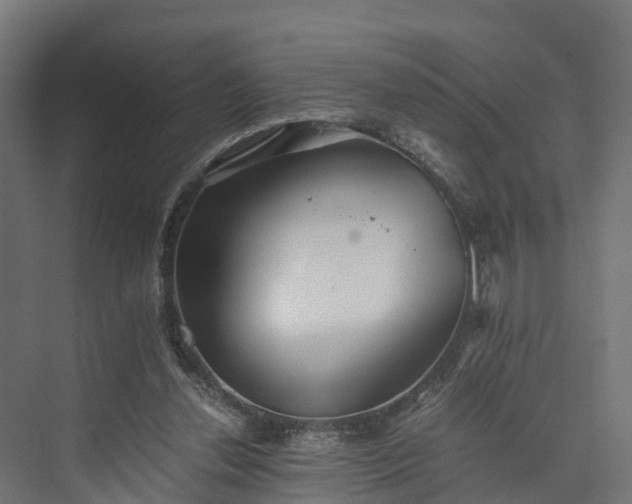 X0000073840252200608171014