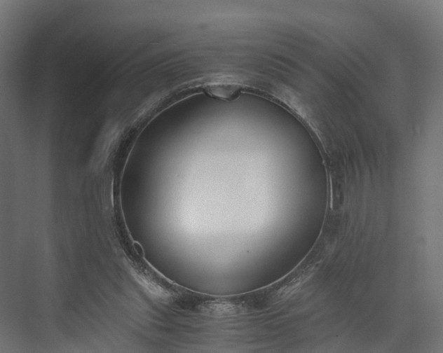 X0000073840253200608171014