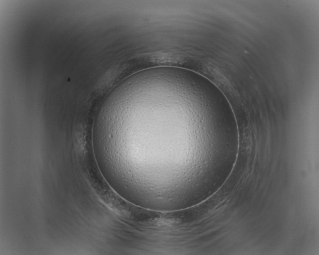 X0000073840255200608171014