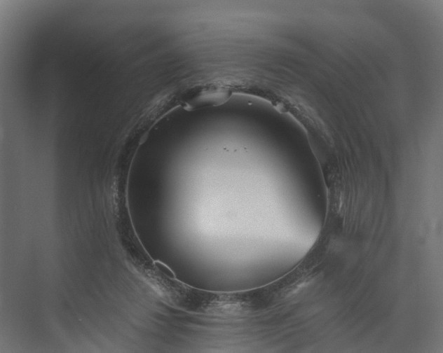 X0000073840260200608171014