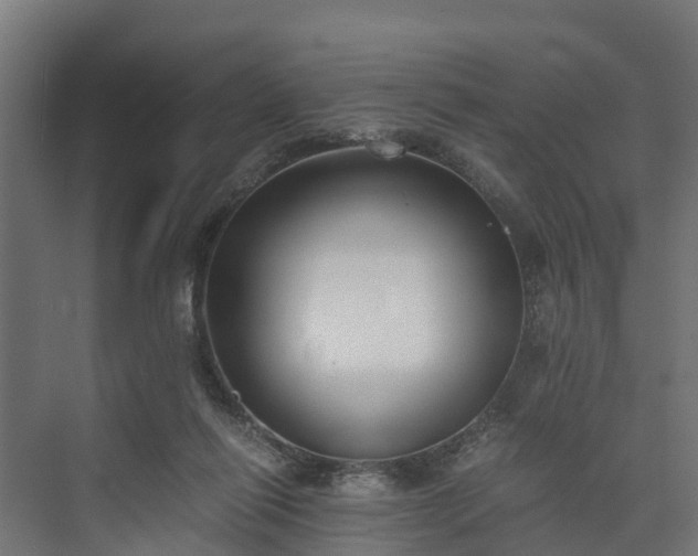 X0000073840262200608171014