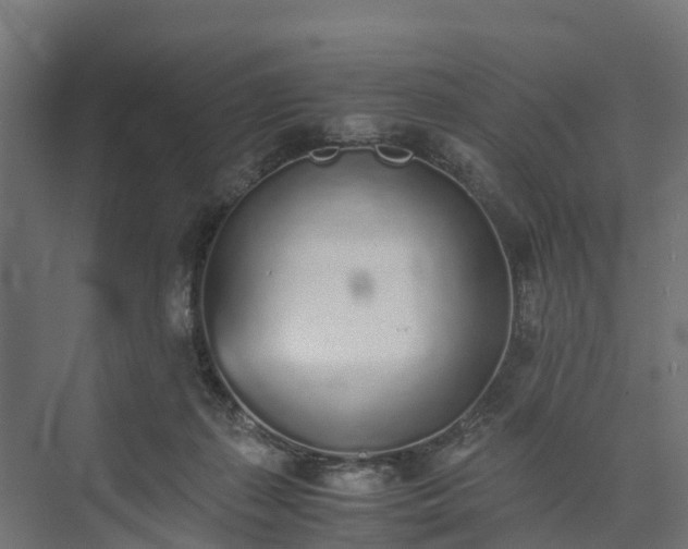 X0000073840267200608171014